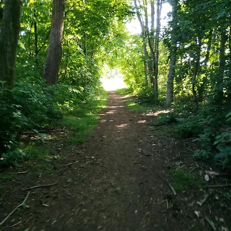 Suedwind * Papenburg-Obenede